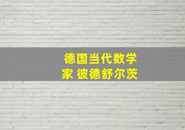 德国当代数学家 彼德舒尔茨